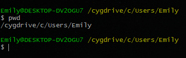 Printing out current directory in terminal with pwd command.